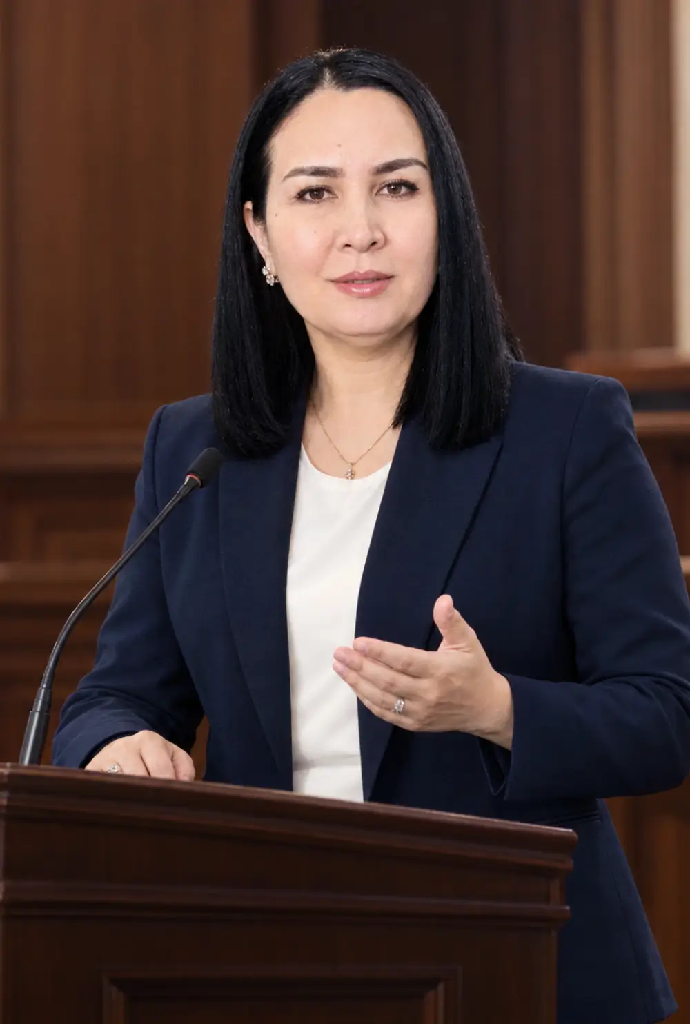 Адвокат выступает в суде